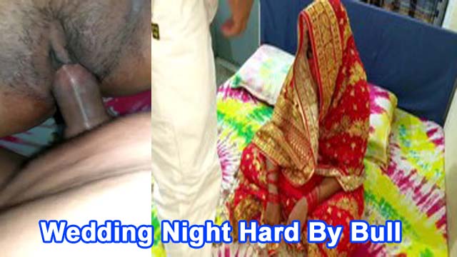 Bangladeshi Hotwife Weading Night Rough Sex by Bull