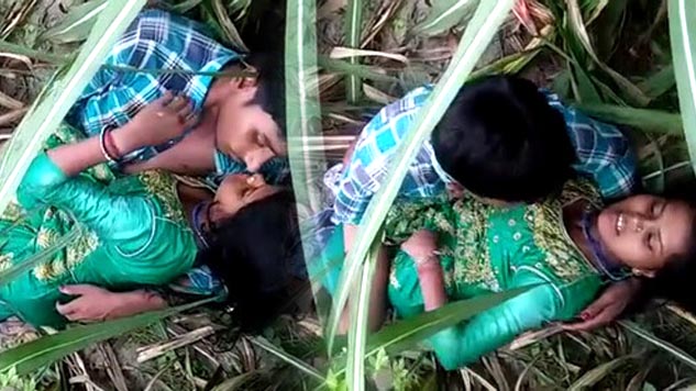 Dehati Lovers Having Sex In A Grass Field Indian Porn Video